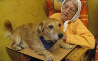 Canisterapie CANTES v krajích ČR jako sociální rehabilitace