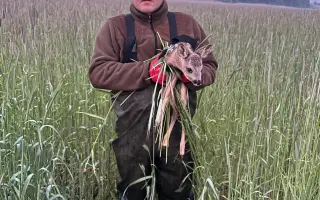 Zachraňme srnčata (nejen) na Podřipsku