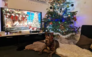 Pomozme Ele opět poznávat svět