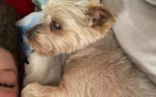 Pomozte prosím prodloužit život Maxovi