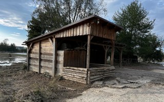 Návrat koní a poníků na pastviny zničené povodní