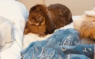 Prosíme, pomozte Nefince přestat trpět 💔