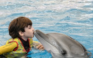 Delfínoterapie pro Sebíka