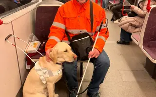 Pomozte Quentymu být mýma očima ❤️