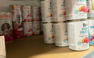 Pojďte s Xyrou pomáhat pejskům, kteří to potřebují