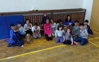 Canisterapie CANTES v krajích ČR jako sociální rehabilitace