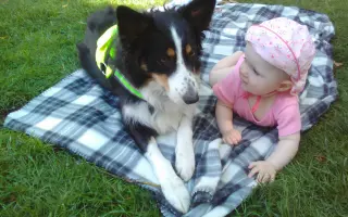 Pomozte s vybavením pro Nadační fond Canisterapie