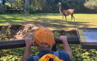 Jarní pobyt v přírodě pro děti se zdravotním znevýhodněním