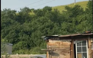 Záchrana pro psy ze slovenských osad 🩷