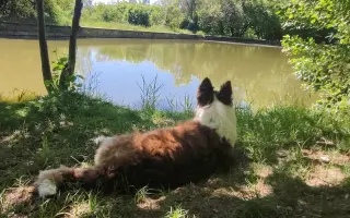Pomohli jste Rastíkovi znovu se postavit na nohy