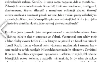 Rekonstrukce Synagogy Volyně a vytvoření kulturního centra