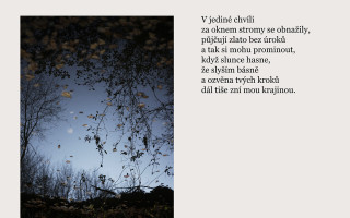 Kdyby srdce bylo krajinou - knižní vydání básní a fotografií Lenky Faltejskové