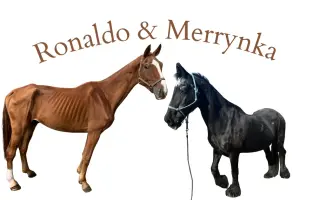 Ronaldo a Merinka si zaslouží spokojený život