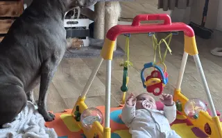 Sheilinka už dvakrát vyhrála. Pomozme jí bojovat potřetí.