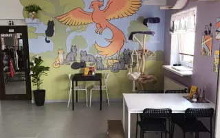 Pojďme dát kočičkám druhou šanci, obnovme kočičí kavárnu café & bar Šťastné tlapky