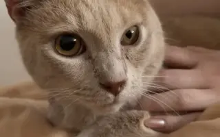 Poslední krok k životu bez bolesti pro Tramínka