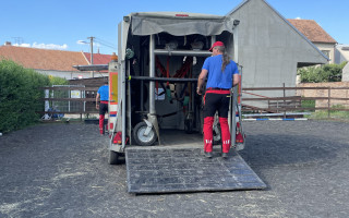 Zpět na nohy - společně vrátíme do života kobylku i naše klienty