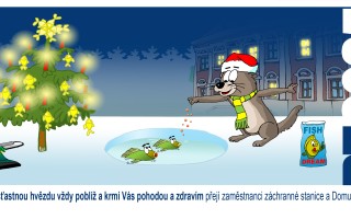 Pomozte nám zlepšit podmínky pro zvířata v nouzi