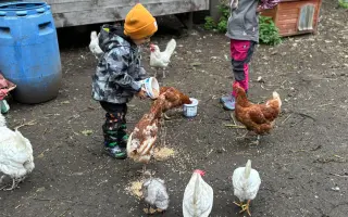 Krmení a seno pro zachráněná zvířata