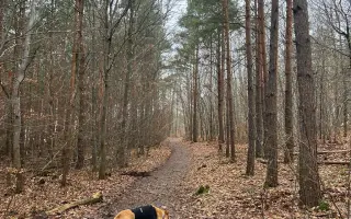 Pomozme společně Báře zachránit jejího nejlepšího přítele