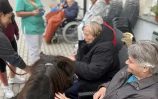 Krmení a seno pro zachráněná zvířata