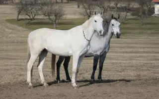 Dobročinná sbírka pro Ostrov Naděje