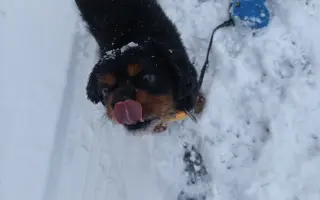 Automobil pro Martina s omezenou hybností