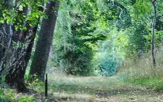 MEDITATIVNÍ KŘÍŽOVÁ CESTA V OBOŘE