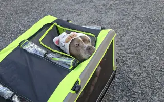 Pomozme Ele opět poznávat svět