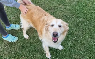 Za každé další ráno s Daisy 🐾