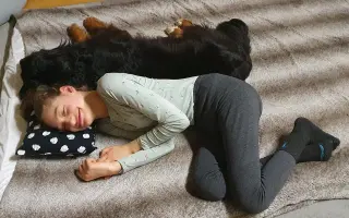 Auto pro převoz Emičky na vozíku