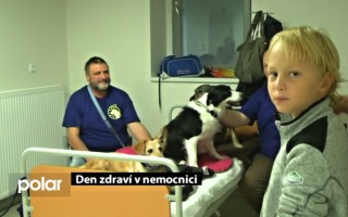 Canisterapie CANTES v krajích ČR jako sociální rehabilitace