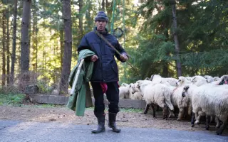 Z nuly zpět za hledáček - aneb nový začátek po velkém pádu