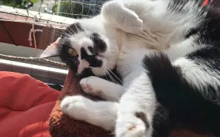 8 nalezených Lásek