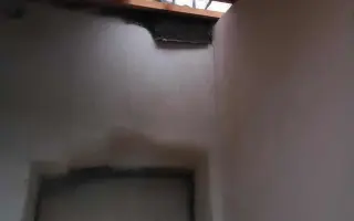 Druhá šance začíná tady: Rekonstrukce karantény pro kočky a skladu