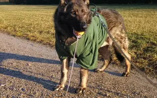 Léčba, která nekončí - Fůrie