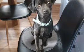 Záchrana života Kubíčka