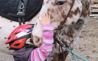 Pomozme zachovat Dvůr poslední šance