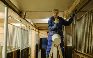 Pomozte nám postavit trojbox pro ustájení hiporehabilitačních koní DORADO z. s.