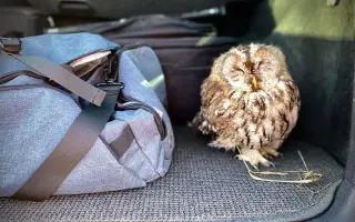 Podpořte KOLODĚJE - houbové hrdiny