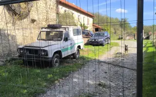 Statek naděje – nový domov pro psy