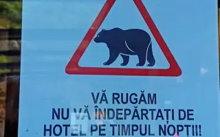 Z nuly zpět za hledáček - aneb nový začátek po velkém pádu