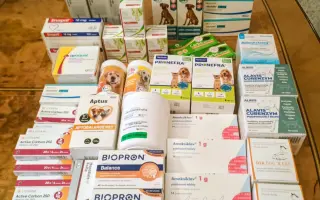 Biologická léčba - Playboy Cooki