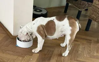 Pomoc pro Kuky a Kony