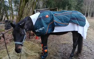 Operace pro Nitise - šance k jeho plnému uzdravení