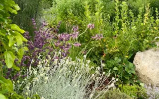 „Kniha, která promění vaši zahradu v místo plné přírody, života a zdravé půdy.“