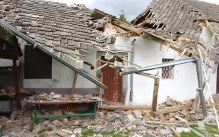 Dejme kočičím bytůstkám šanci na bezpečí a důstojný život