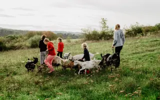 Přístřešek pro zvířata z Kozího spolku