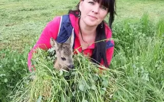 Pomozte nám zachránit srnčata a ostatní zvěř před posekaním sekačkou.