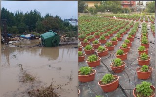 Pomoc rodinnému zahradnictví a květinářství po povodni